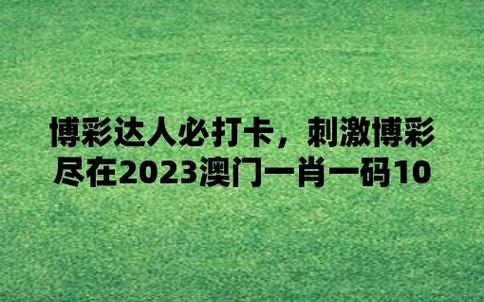 一码一肖100准今晚澳门,最佳精选数据资料_手机版24.02.60