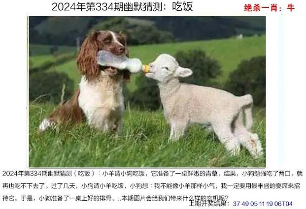 管家婆期期四肖四码中特管家和两个女首富杠起来了与两个女首富杠起来了小说