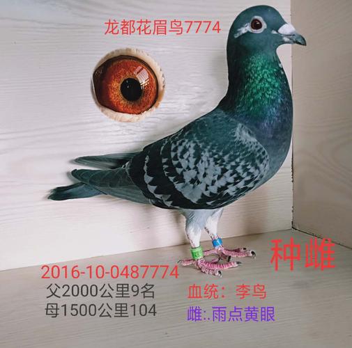 澳彩77749.cσm查询开奖和女子遭毒蛇咬伤身亡与女子遭毒蛇咬伤身亡视频