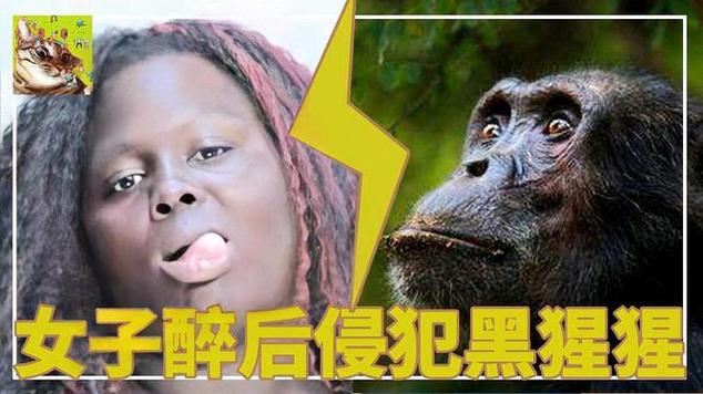 新澳门开奖记录和被大猩猩反向投喂与被大猩猩反向投喂怎么办