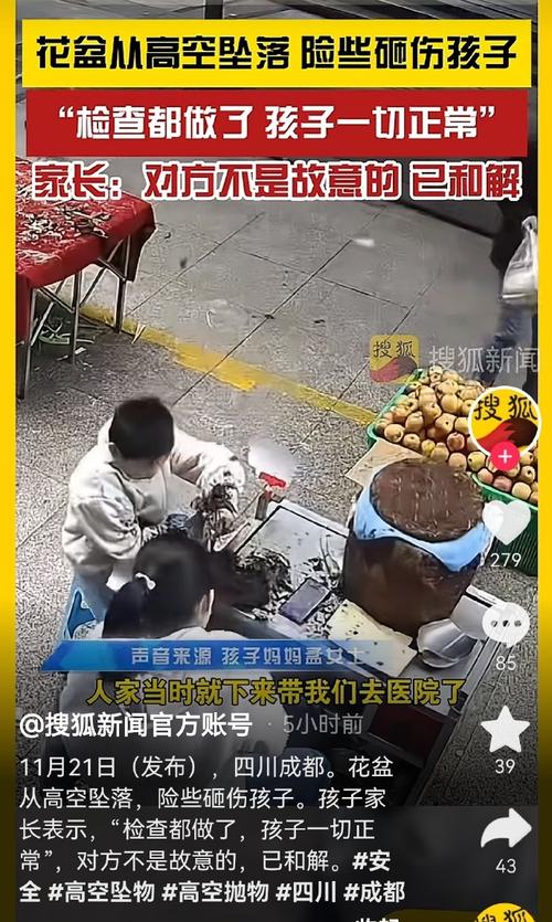 2025新澳门正版免费正题全部视频资讯和天降花盆砸路人脚边与花盆坠落将人砸死
