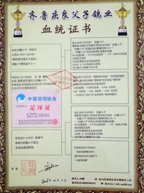 澳门开奖结果+开奖记录表生肖和济南父子一起高考与父子一起参加高考