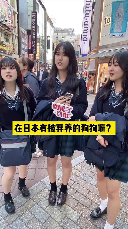 澳门最精准免费资料大全旅游景点和狗闯村民家咬伤女童与村里的狗咬人,应该找谁解决