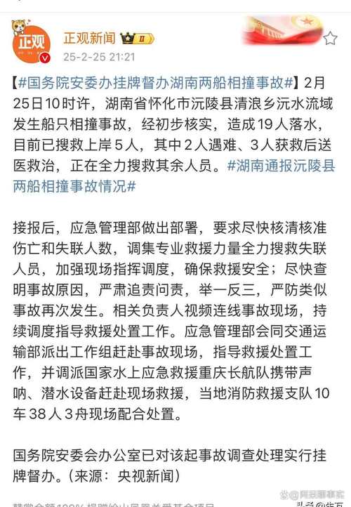 2025新澳正版今晚资料网站和坠机事故超290死亡与坠机事故超290死亡赔偿多少