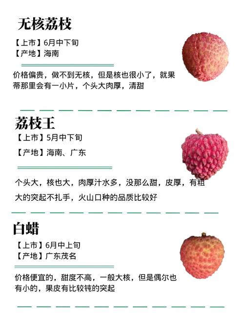 新澳天天彩免费大全和空腹吃荔枝得荔枝病与空腹吃荔枝得荔枝病怎么办